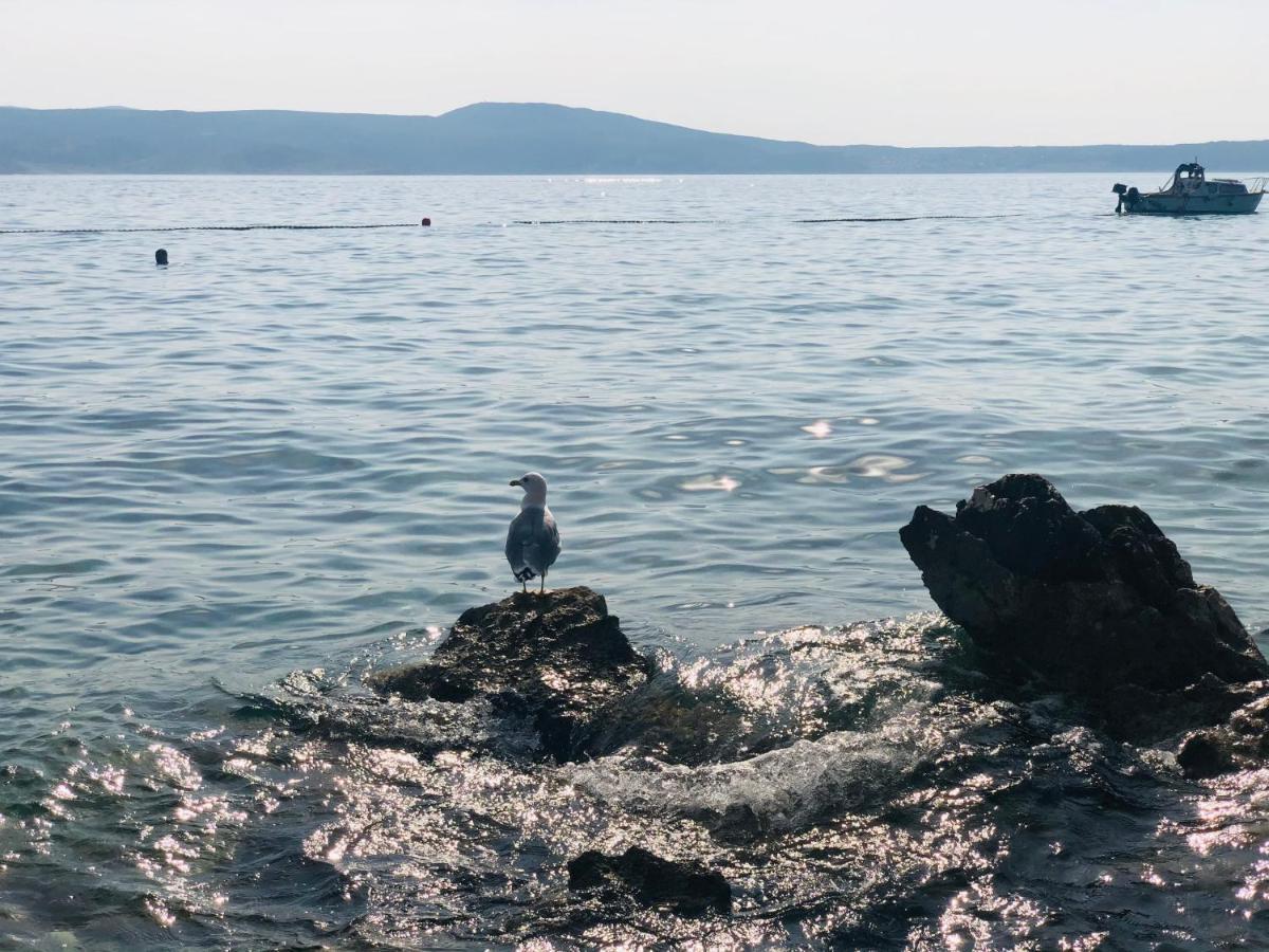 Apartman Meghan Novi Vinodolski Dış mekan fotoğraf
